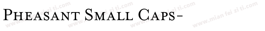Pheasant Small Caps字体转换